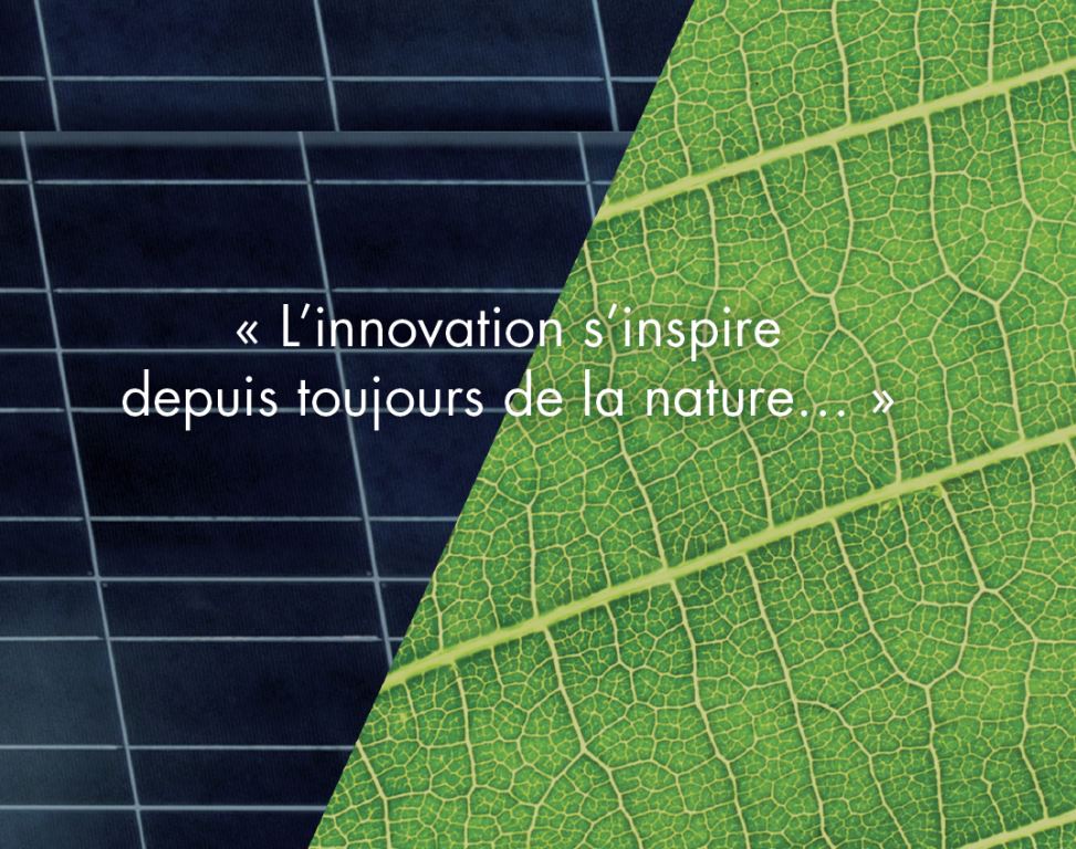 Innovation Bouchon Vin Eco-responsable et Bio-sourcé - DIAM